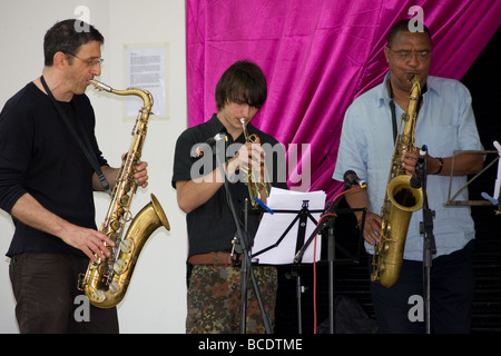 Brent festival multiculturale Roundwood Park Harlesden Londra Inghilterra Regno Unito Europa Foto Stock