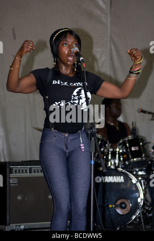 Brent festival multiculturale Roundwood Park Harlesden Londra Inghilterra Regno Unito Europa Foto Stock