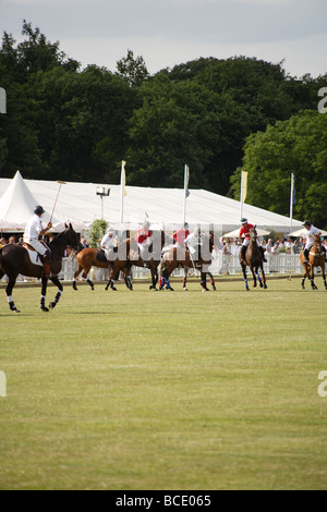 Partita di Polo,Inghilterra vs Argentina,ritratto Foto Stock