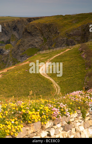 Sentiero costiero serpeggiando fino oltre le scogliere di Bedruthan Steps in Cornwall Regno Unito Foto Stock