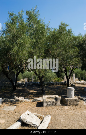 Vista di Keramikos, l'antico cimitero di Atene. Resti del passato. Alberi di olivo in background, il simbolo di Atene. Foto Stock