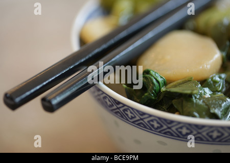 Autentica sana fresche verdure orientali e di sesamo vegetariano stile cinese pasto con n. di persone Foto Stock