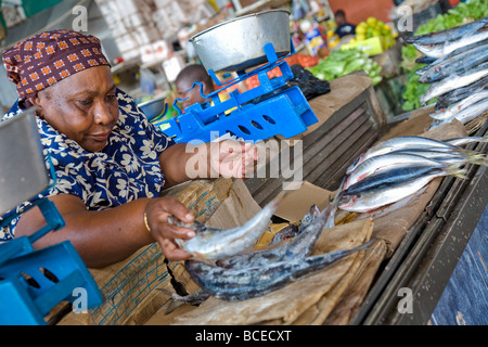 Mozambico, Maputo. Una grande donna africana si delinea il pesce fresco sul suo stallo nella Makret centrale a Maputo. Foto Stock