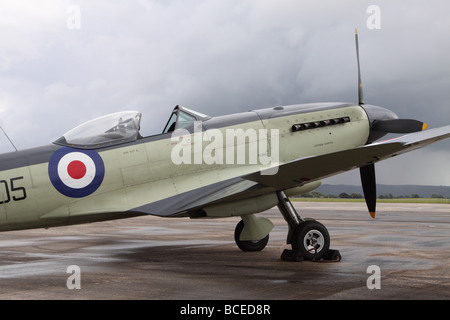 Il Supermarine Seafire F Mk XVII SX336 nella Royal Navy colori warbird questo aeromobile è uno di soltanto 2 Seafires navigabilità nel mondo Foto Stock