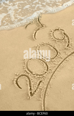 Iscrizione 2009 sulla sabbia costa del mare con un onda di rotolamento su di una iscrizione Foto Stock