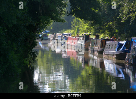 Chiatte ormeggiate lungo le rive a Bradford-Upon-Avon, Kennet & Avon Canal, Wiltshire, Inghilterra, Regno Unito Foto Stock