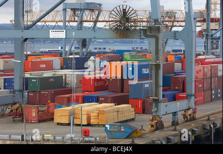 Contenitori e merci le merci accatastate per esportazione e importazione nel porto di Belfast Belfast harbour Irlanda del nord Europa Regno Unito Foto Stock