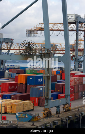 Contenitori e merci le merci accatastate per esportazione e importazione nel porto di Belfast Belfast harbour Irlanda del nord Europa Regno Unito Foto Stock