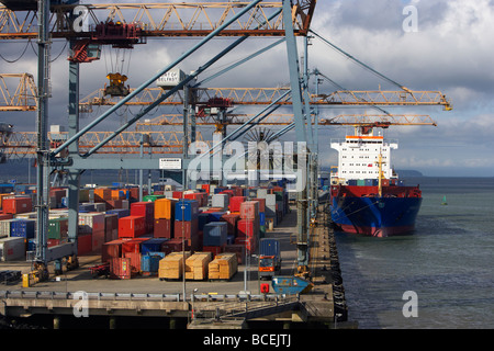 Freighter wybelsum scarico contenitori di merci nel porto di Belfast Belfast harbour Irlanda del nord Europa Regno Unito Foto Stock