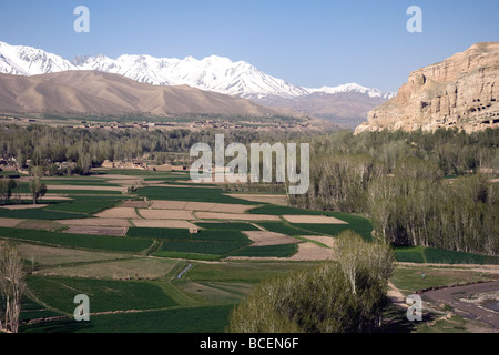 Un verde e fertile e tranquilla valle in Afghanistan la provincia di Bamiyan Foto Stock