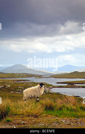 Loch Faoghail su Lewis guardando verso le montagne di Harris, Ebridi Esterne, Western Isles della Scozia, Regno Unito 2009 Foto Stock