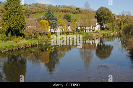 Ambiente tranquillo accanto al fiume Exe a Bickleigh a metà Devon Foto Stock