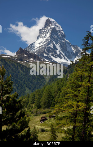 Vista del monte Cervino in estate, Svizzera, Europa. Foto Stock