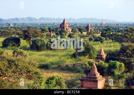 Myanmar. La Birmania. Bagan. Antichi templi buddisti sulla pianura centrale di Bagan visto dalla Shwesandaw stupa. Foto Stock