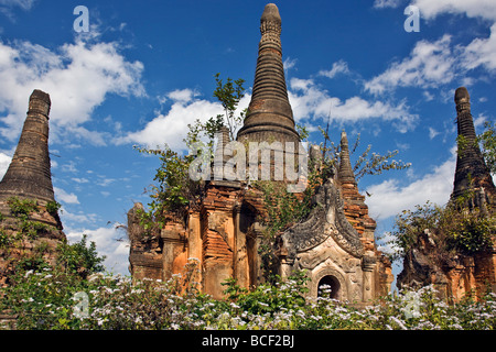 Myanmar Birmania, Lago Inle. Alcuni dei vecchi santuari buddisti e gli stupa al non ripristinati Shwe Inn Tain pagoda. Foto Stock