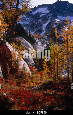 Stati Uniti d'America, Washington. I colori autunnali, Alpine Lakes Wilderness, nello Stato di Washington, USA Foto Stock