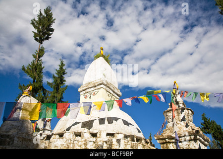 India, Sikkim, Khecheopalri Lake, Khecheopalri Stupa Foto Stock