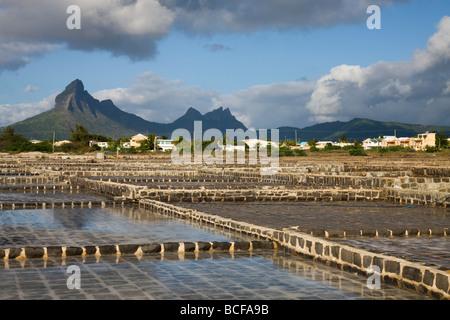 Maurizio, Western Mauritius Tamarin, Montagne du Rempart mountain (el. 777 metri) con stagni di sale Foto Stock