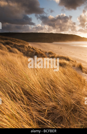 Golden luce della sera su Holywell Bay North Cornwall Foto Stock