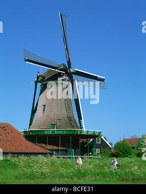 Holland, Zaanse Schans, mulino a vento Foto Stock
