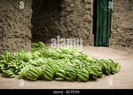 Banane verdi, Mto Wa Mbu village, Tanzania Foto Stock