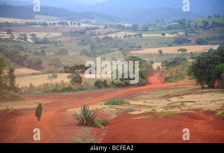 La Rift Valley, Tanzania Foto Stock