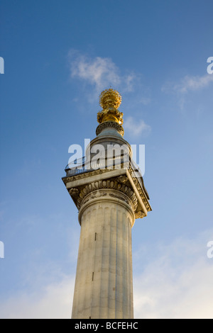 Il monumento a Londra, Inghilterra Foto Stock