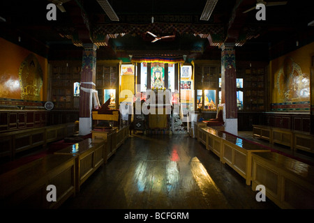 Corridoio principale di preghiera con l'altare buddista di Dip Tse guarnitura Gompa Ling (monastero) tempio. McCleod Ganj. Himachal Pradesh. India. Foto Stock