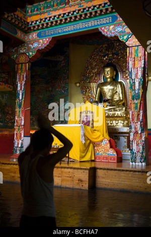 Stagliano adoratore in preghiera principale camera presso il Norbulingka Istituto tempio. Sidhpur, Dharamsala. Himachal Pradesh. India Foto Stock