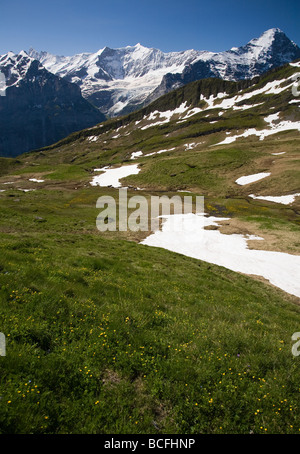 Le Alpi Bernesi intorno a Grindelwald, Svizzera Foto Stock