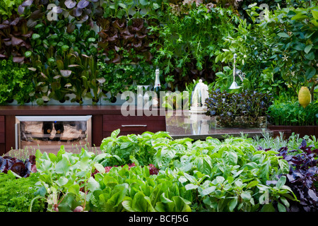 Cucina esterna con contenitori sollevata di erbe in primo piano, la parete verticale di foglie di insalata sul retro Foto Stock