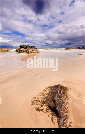 Drammatico paesaggio costiero prese sulla spiaggia in discesa nella Contea di Londonderry Irlanda del Nord Foto Stock