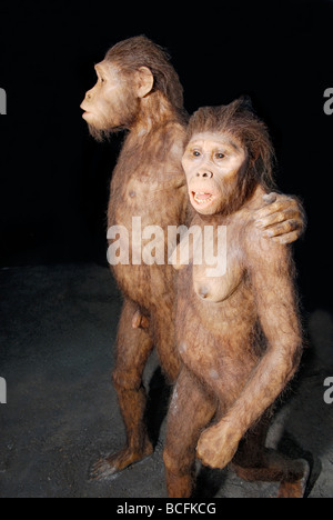 Un'interpretazione di due Australopithecines camminando in ceneri vulcaniche 3,5 milioni di anni fa. Foto Stock