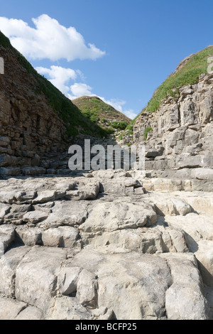 Rock una scala conduce in basso verso il mare a Seacombe sull'Isola di Purbeck, Dorset, Regno Unito Foto Stock