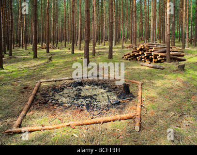 Gestione forestale. Frensham, Surrey, Inghilterra, Regno Unito. Foto Stock