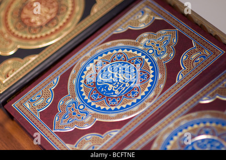 Corano libri alla Moschea Sheikh Zayed, Abu Dhabi Foto Stock