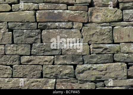 Un muro di mattoni in pietra naturale in close-up Foto Stock