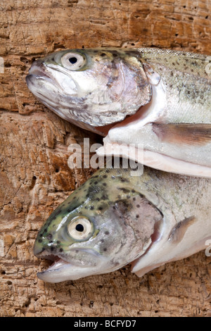 Due bei pesci trote giacente su una tavola di legno Foto Stock