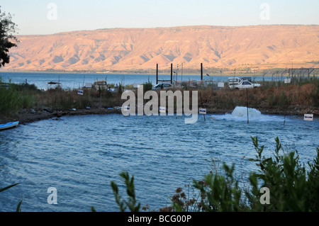 Israele il fiume Giordano all'uscita dal mare di Galilea (Lago di Kineret) Foto Stock