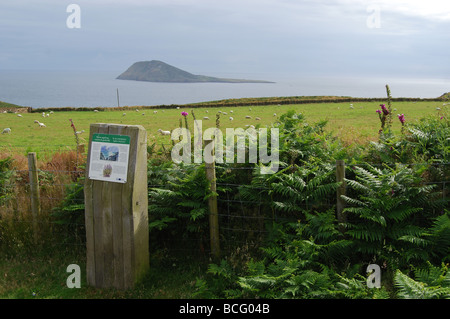 Bardsey Island dalla terraferma con piastra di info per spiegare la luce un faro n. 2740 Foto Stock