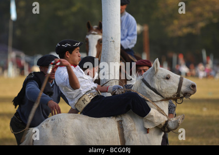 Giovani gaucho in sella ad un cavallo di recupero Foto Stock