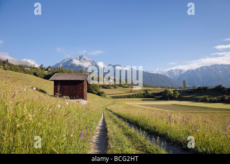 Imst Tirolo Austria Europa. La via e il fienile in estate alpino prati di fiori nella valle verde Foto Stock