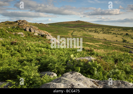 Vista verso la sella Tor, Dartmoor Devon, Inghilterra, Regno Unito Foto Stock