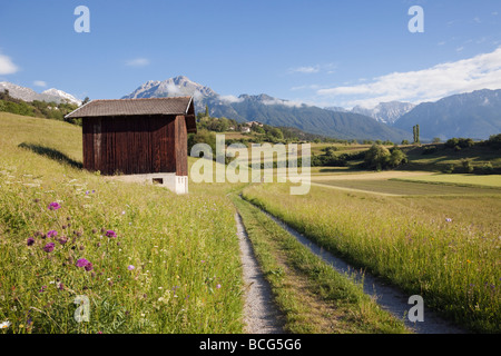 Imst Tirolo Austria Europa giugno via e fienile in estate alpino prati di fiori nella valle verde Foto Stock