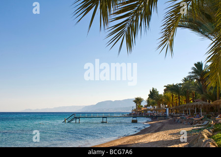 In orizzontale ampia angolazione del Mar Rosso e una bellissima spiaggia di sabbia con palme ondeggianti al sole Foto Stock