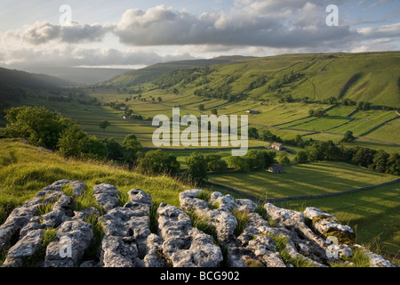 Un affioramento di pavimentazione di pietra calcarea con una vista lungo la linea a forma di u in valle di Wharfedale superiore nel Yorkshire Dales National Park Foto Stock