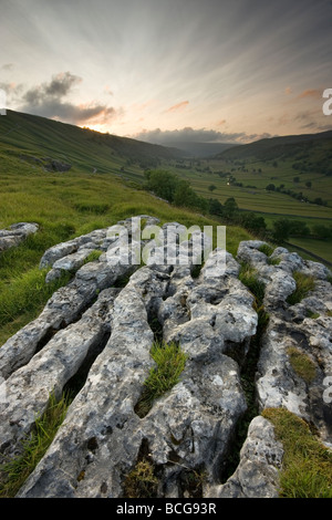 Un affioramento di pavimentazione di pietra calcarea con una vista lungo la linea a forma di u in valle di Wharfedale superiore nel Yorkshire Dales National Park Foto Stock
