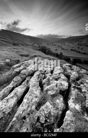 Un affioramento di pavimentazione di pietra calcarea con una vista lungo la linea a forma di u in valle di Wharfedale superiore nel Yorkshire Dales National Park Foto Stock