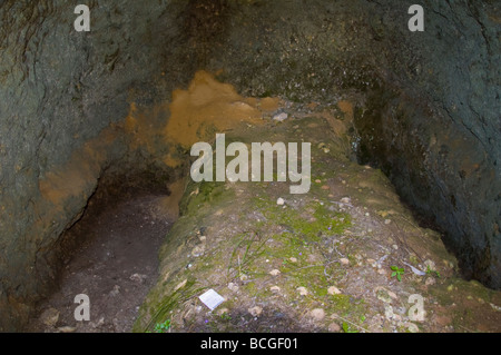 Tombe nel cimitero micenea intagliati da solida roccia intorno 1500BC a Mazarakata sull'isola greca di Cefalonia Grecia GR Foto Stock