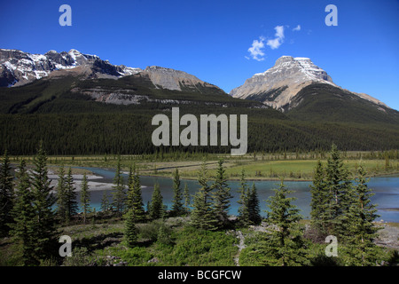 Canada Alberta Banff National Park a nord del Fiume Saskatchewan Mount Amery Foto Stock